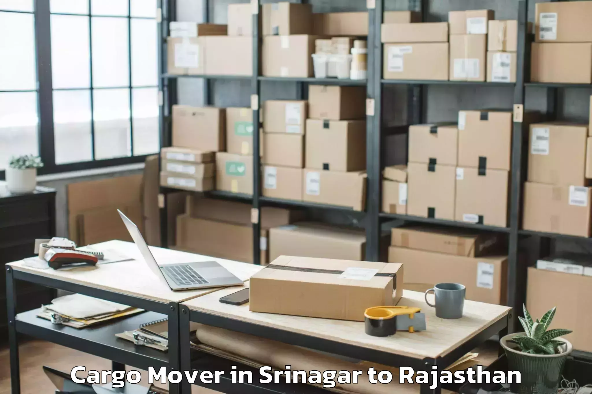 Book Srinagar to Maharaja Ganga Singh Universit Cargo Mover Online